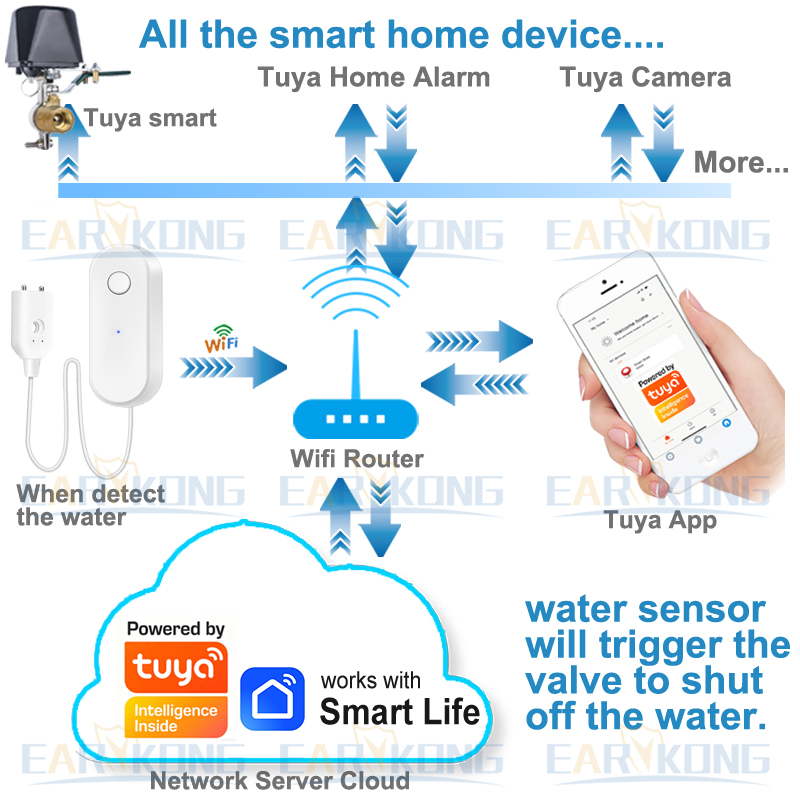 Tuya WiFi Smart Water Leak Sen - огляд і ціна Water Alarm Sensor
